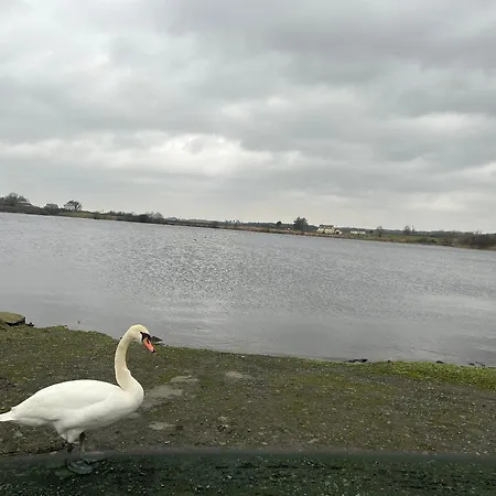 Estuary View Kildysart