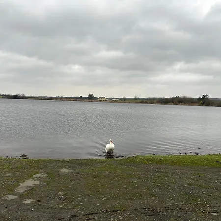 Estuary View Nyaraló Kildysart