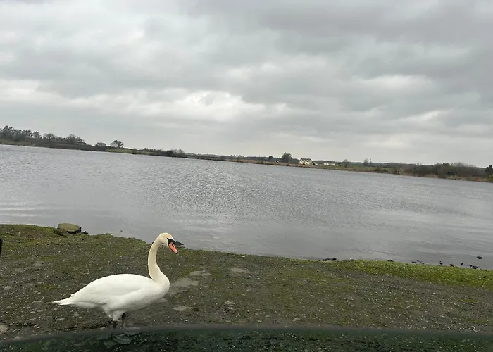 Estuary View Kildysart