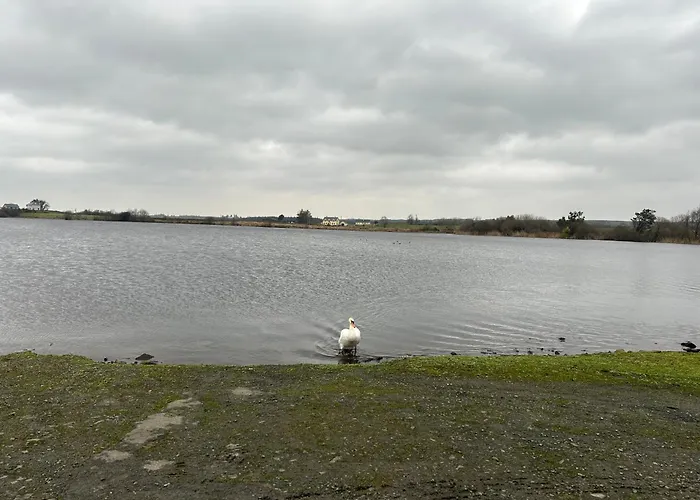 Estuary View Hébergement de vacances Kildysart