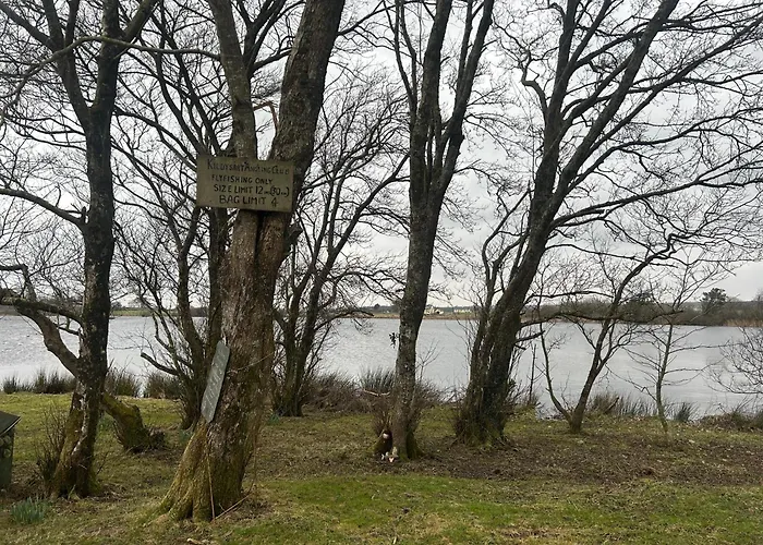 Hébergement de vacances Estuary View